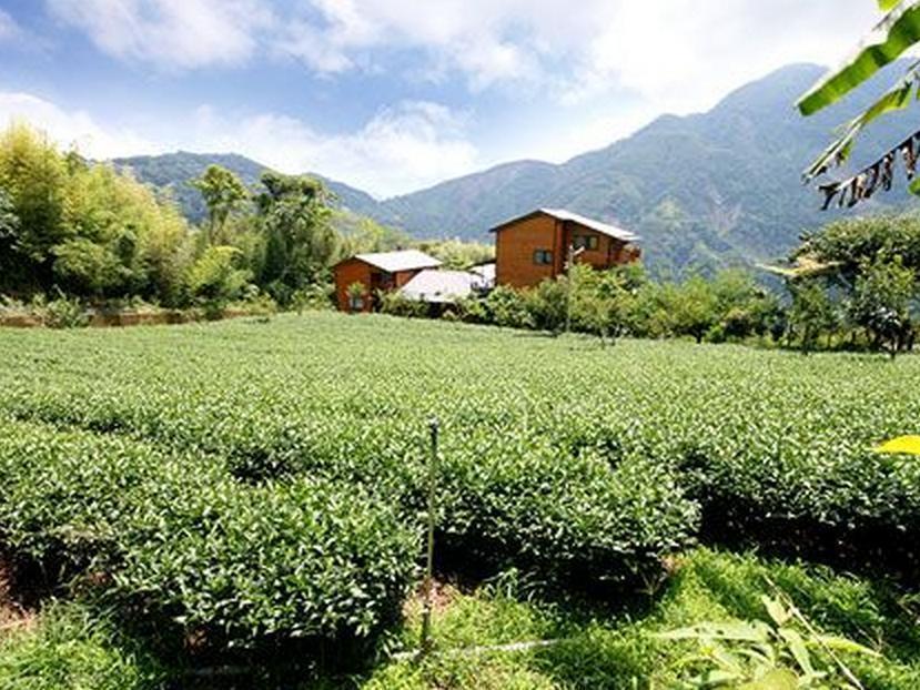 Walk Cloud Bed And Breakfast Meishan Exterior foto